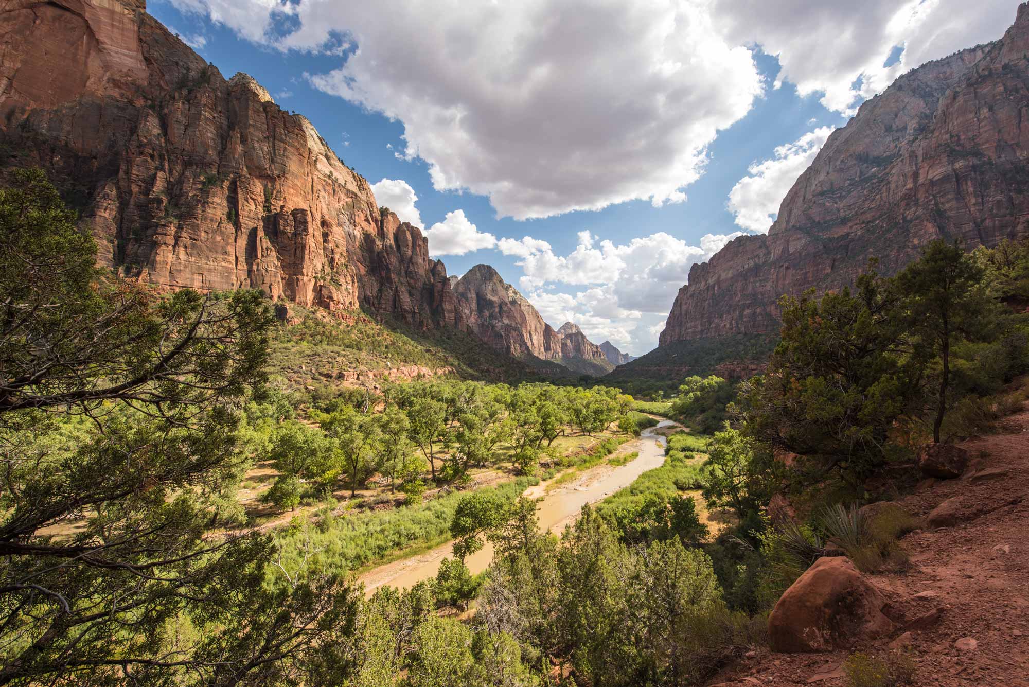 Canyon Landscape