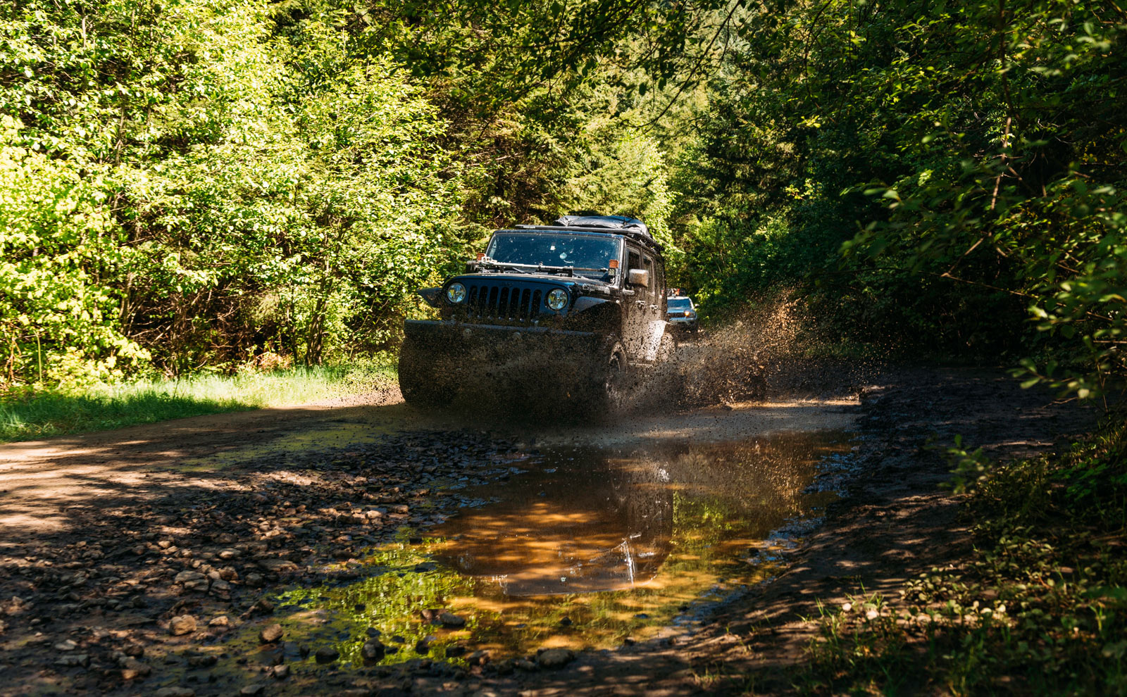 Jeep on muddy path within bushland