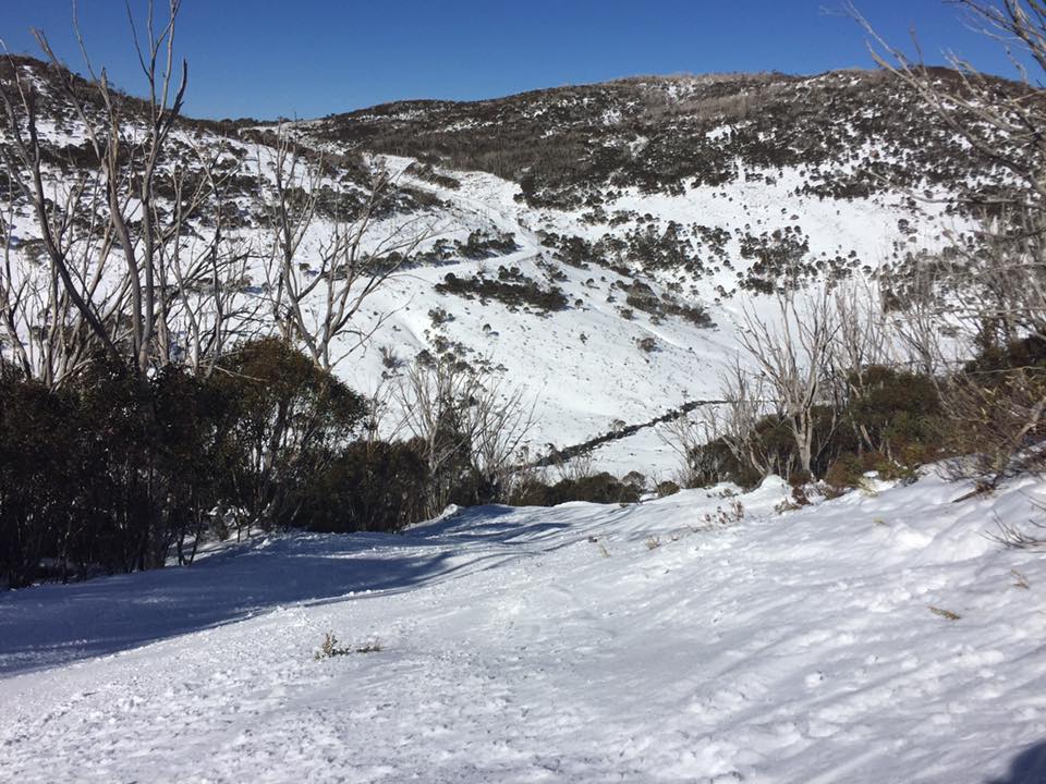 perisher