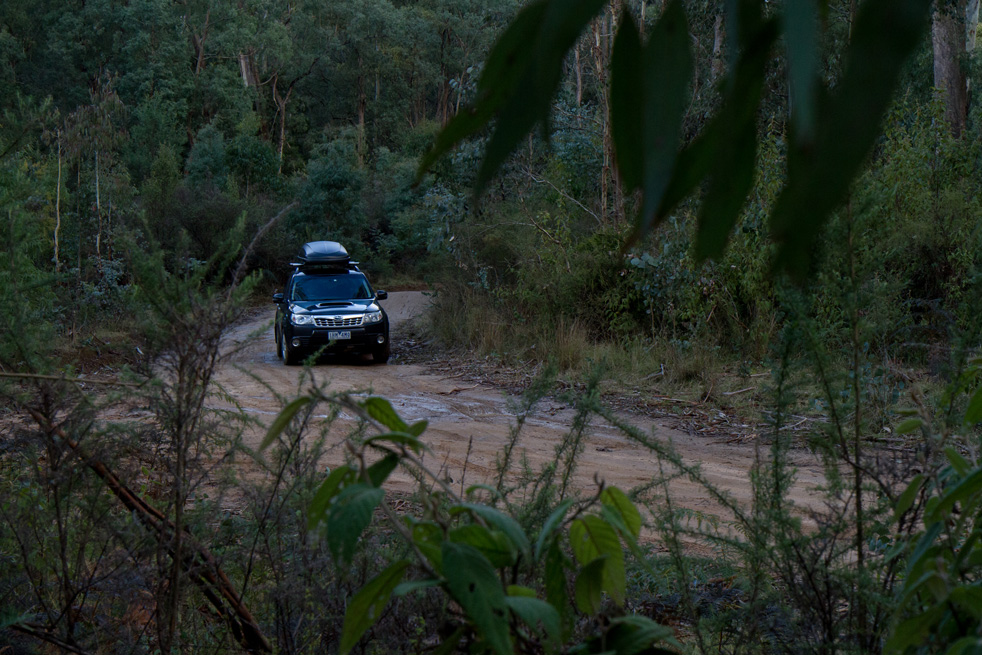 Driving dirt road