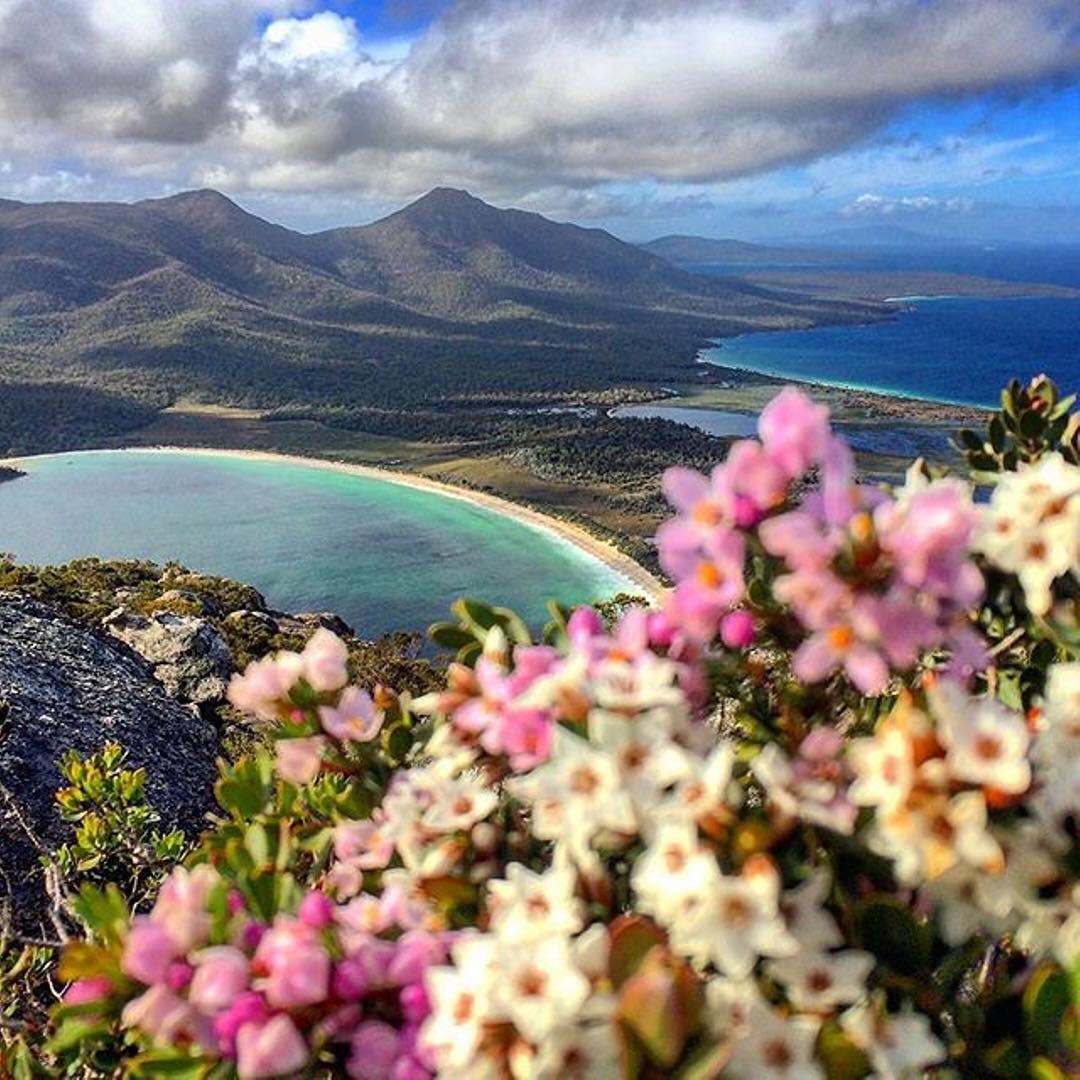 Arial Beach Views